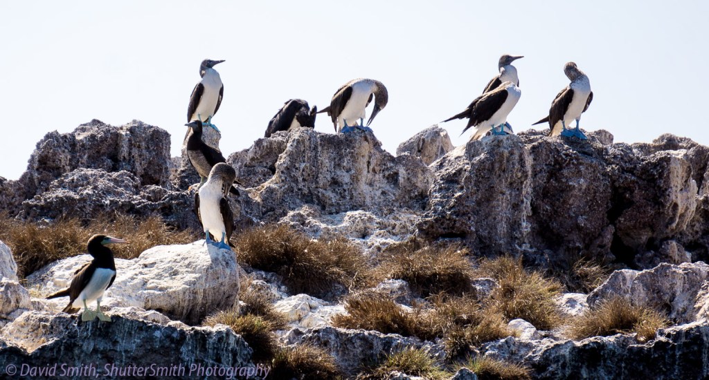 Puerto Vallarta-03023