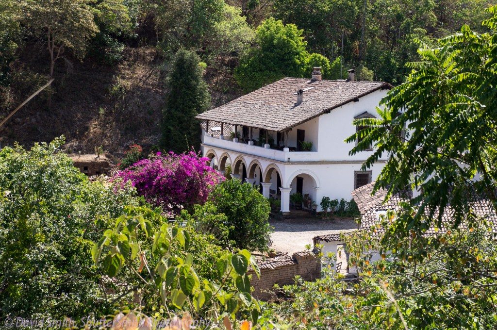 Puerto Vallarta-03106